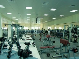 Zeige Produkte für Kategorie KRAFTGERÄTE NACH EIGENSCHAFTEN Bild für Kategorie KRAFTGERÄTE NACH EIGENSCHAFTEN