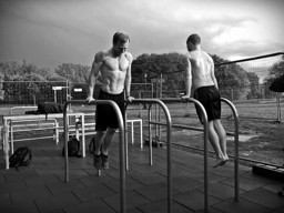 Zeige Produkte für Kategorie JK CALISTHENICS-OUTDOOR-PARKS Bild für Kategorie JK CALISTHENICS-OUTDOOR-PARKS