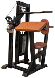 Zeige Details für Watson Single Stack Tricep Extension Bild von Watson Single Stack Tricep Extension