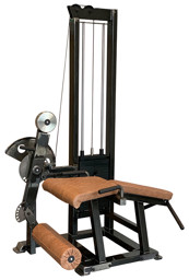 Zeige Details für Watson Single Stack Leg Extension / Leg Curl Bild von Watson Single Stack Leg Extension / Leg Curl