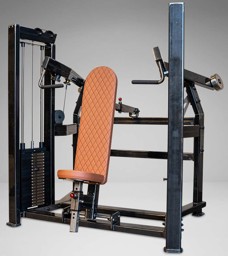 Zeige Details für Watson Animal Dual Stack Shoulder Press Bild von Watson Animal Dual Stack Shoulder Press