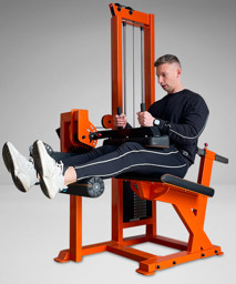 Zeige Details für Watson Seated Leg Curl Bild von Watson Seated Leg Curl