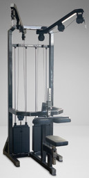 Zeige Details für Watson Animal Dual Stack Lat Pulldown Bild von Watson Animal Dual Stack Lat Pulldown