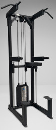 Zeige Details für Watson Assisted Chin und Dip Bild von Watson Assisted Chin und Dip